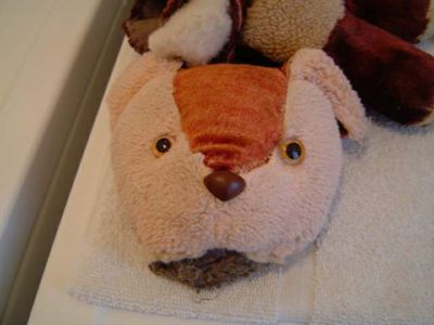 Brownie - repair 5.jpg
