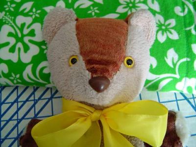 Brownie - repair 8.jpg