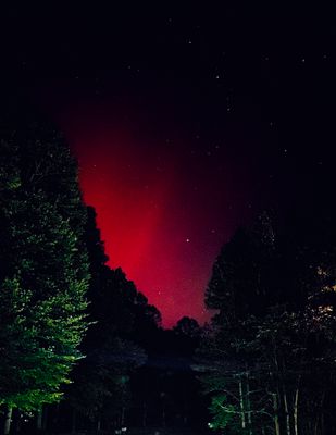Aurora over my street in Southern MD