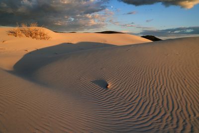 Dune di Porto Pino