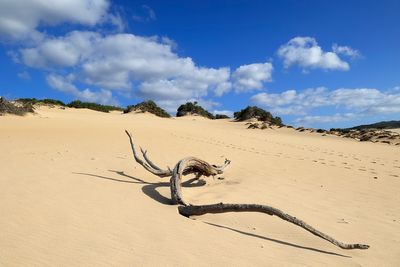 Dune di Piscinas