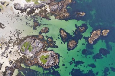 Mull Island - Hebrides
