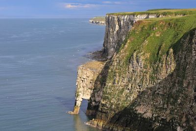 Bempton Cliffs