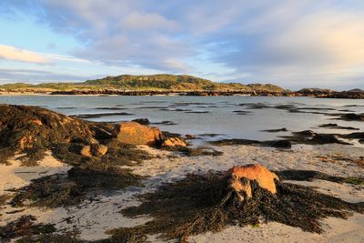 Mull Island - Hebrides