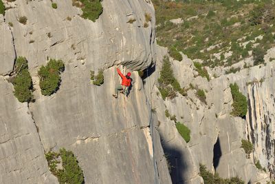 Free Climber