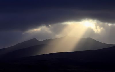 Evening Light