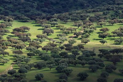 Monfrague N.P.