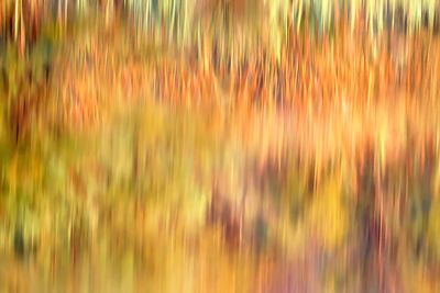 Landscapes...and other