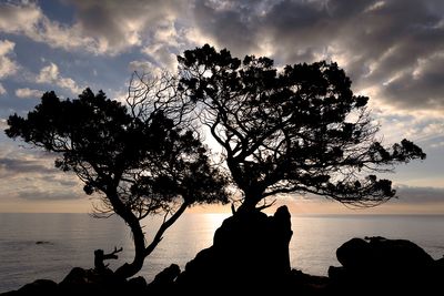 Sardegna 2025