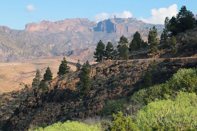 gran canaria