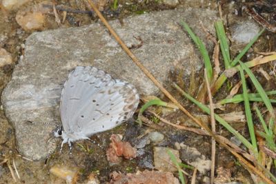 Spring Azure