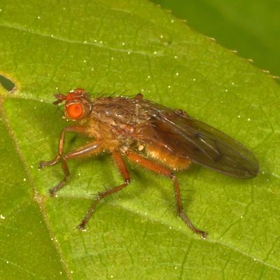 FLY 0H7A5575.JPG