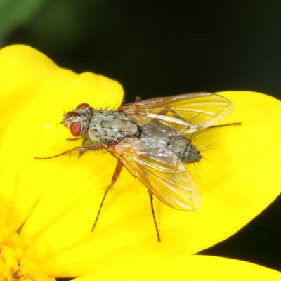 f 0H7A9543.JPG