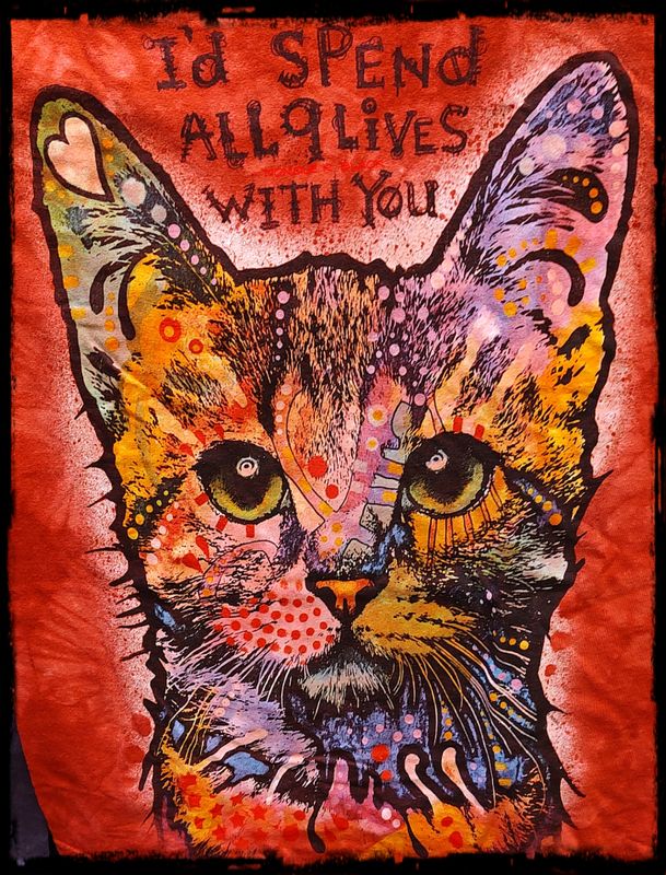 I'D SPEND ALL 9 LIVES WITH YOU