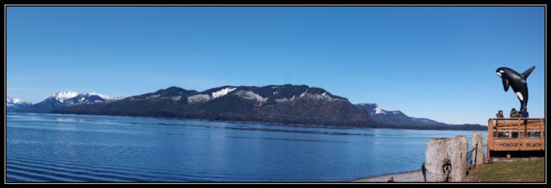 ICY POINT STRAIT, ALASKA WITH WHALE