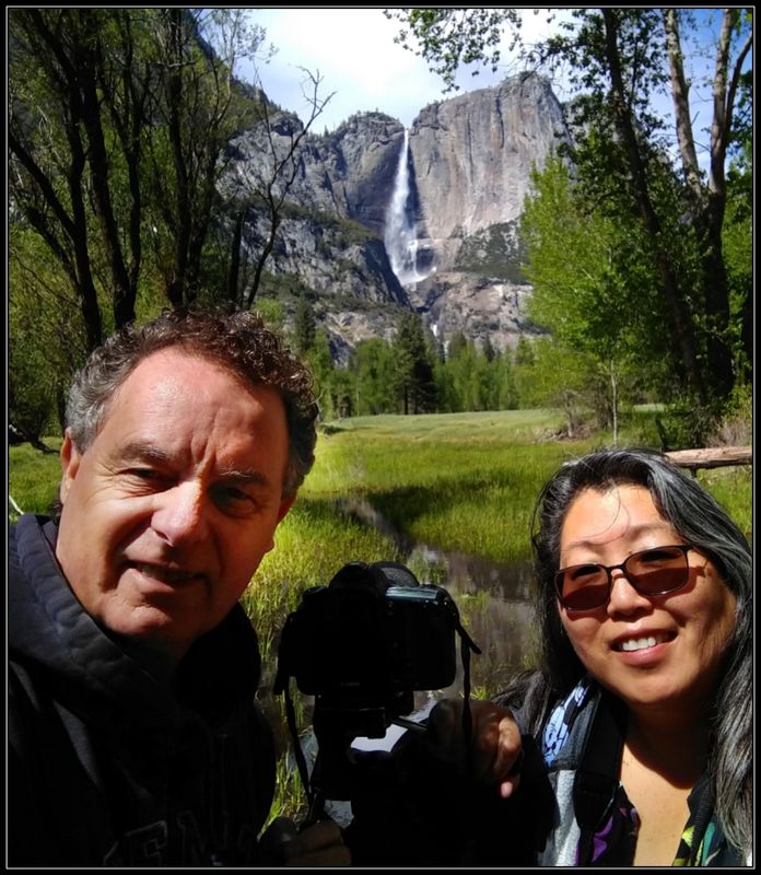 YOSEMITE MEADOWS 