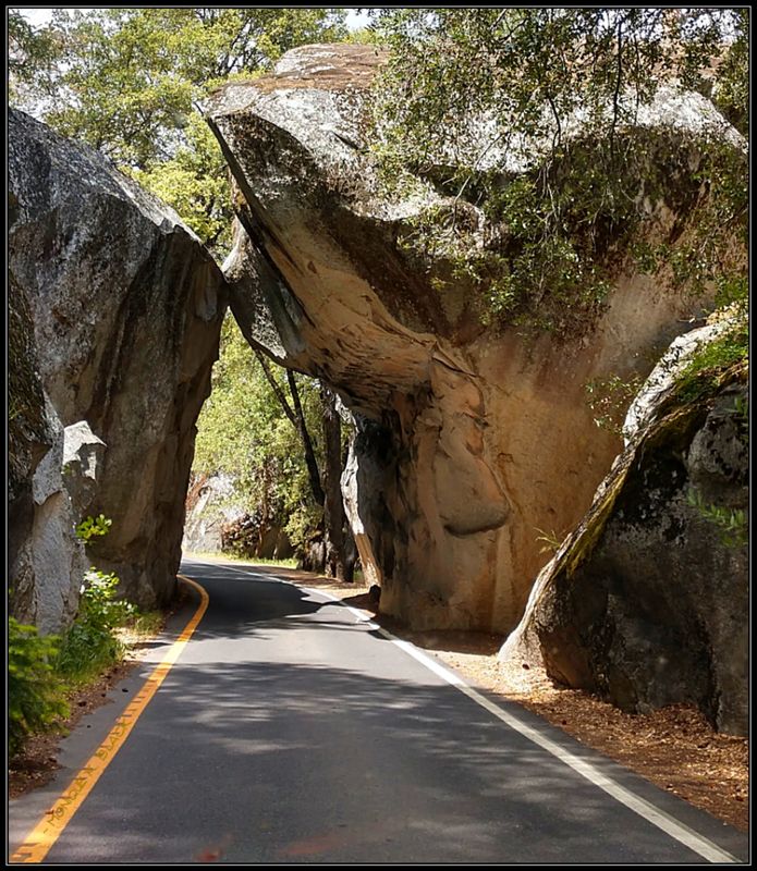 ROAD INTO YOSEMITE 