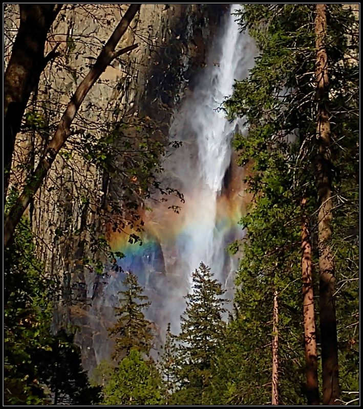 MYSTICAL RAINBOW 🌈