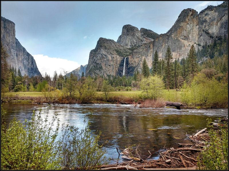 YOSEMITE REFLECTIONS