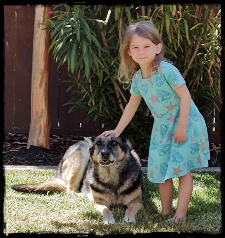 ADDIE N HARLEE