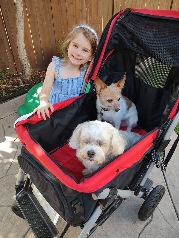 ADDIE, IZZI & MAUI