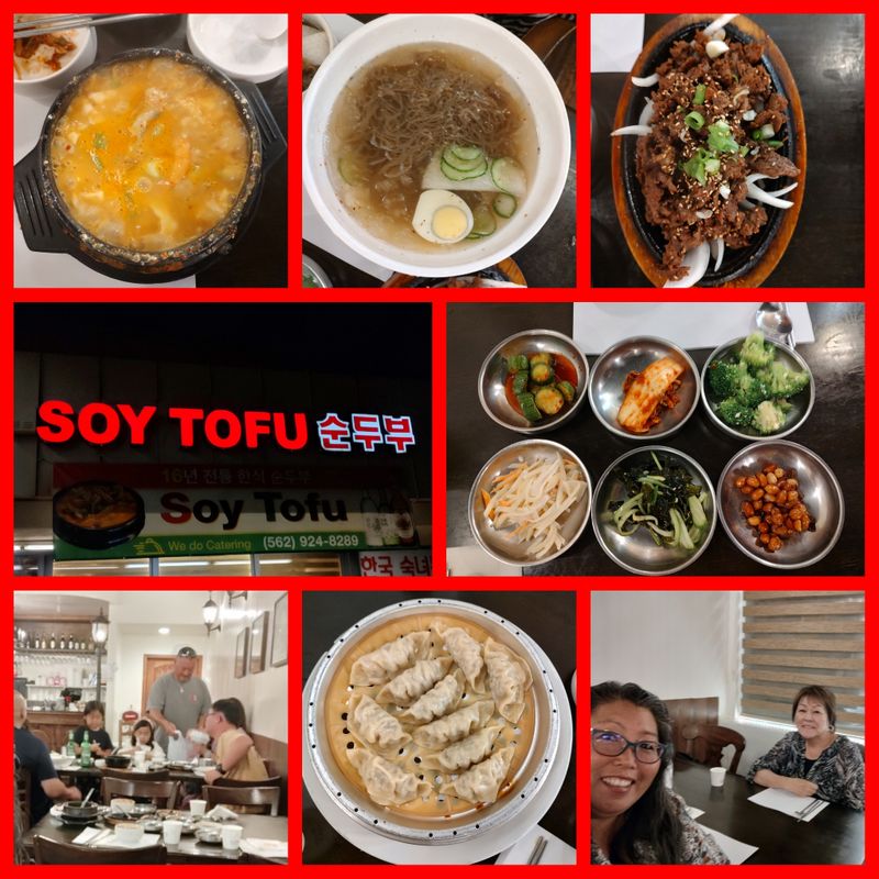DINNER AT SOY TOFU 