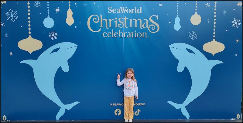 SEAWORLD CHRISTMAS 