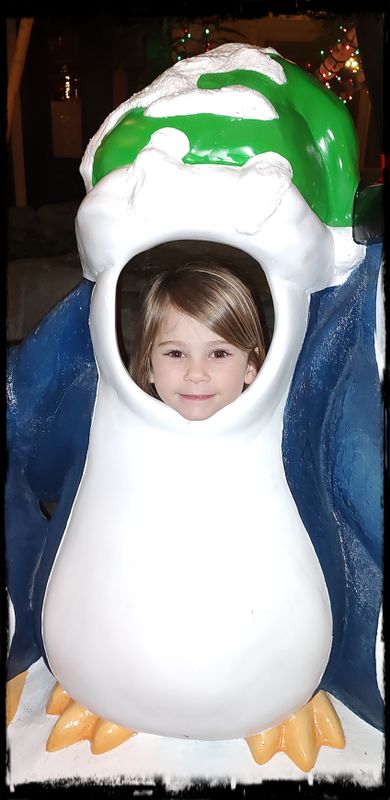 ADDIE THE PENGUIN 