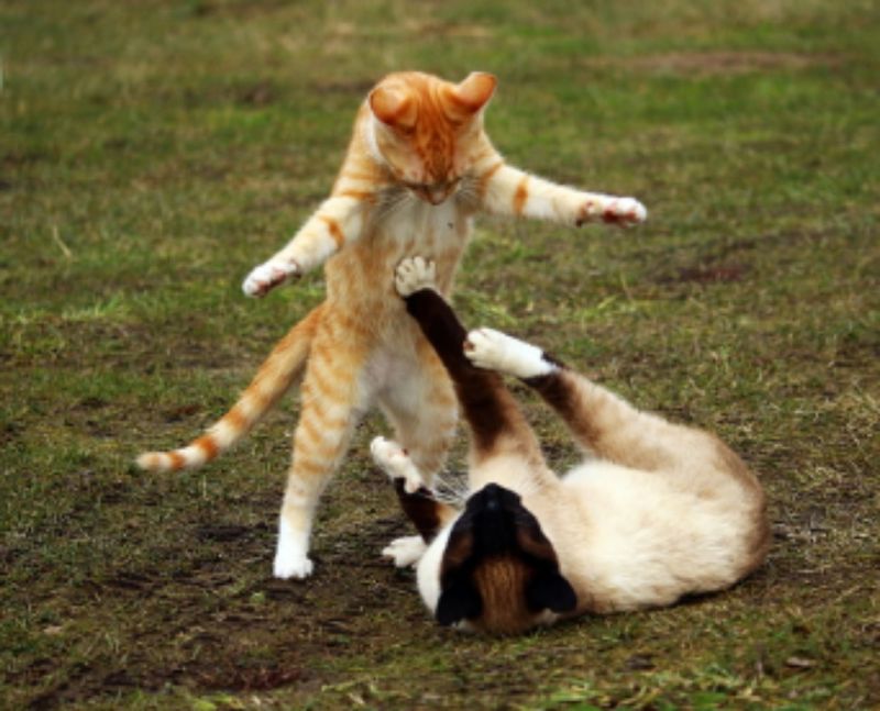 CAN I HAVE A HUG???