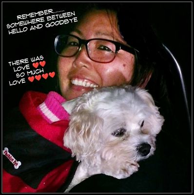 REMEMBERING HOW MUCH LOVE ❤️🐾