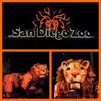 SAN DIEGO ZOO