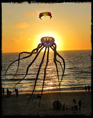 OCTOPUS KITE SUNSET