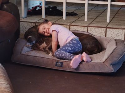 g13/25/1220525/3/175598939.a8771ce1.JPEG