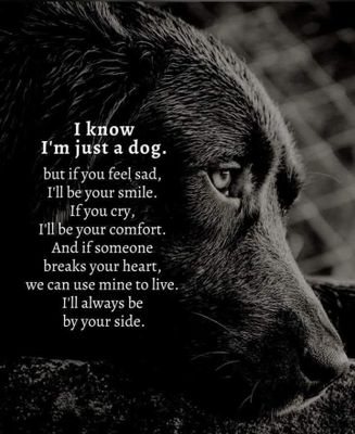 NOT JUST A DOG