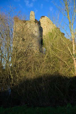 _Z726911.jpg
