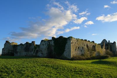 _Z726926.jpg