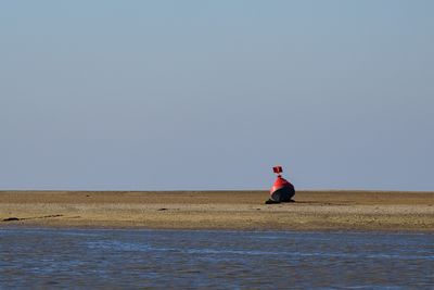 _Z912193.jpg