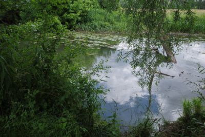 _R001590.jpg