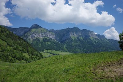 _R001673.jpg
