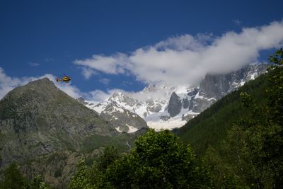 _Z914512.jpg