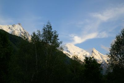 _Z914560.jpg