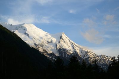 _Z914562.jpg