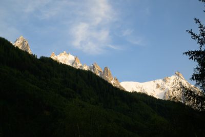 _Z914571.jpg