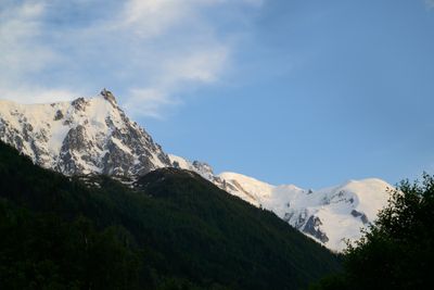 _Z914602.jpg