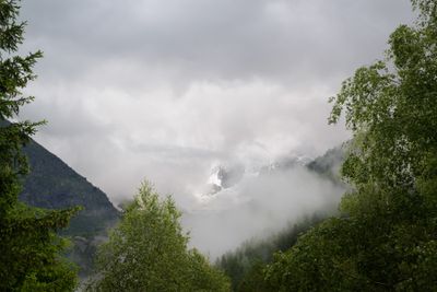 _Z914621.jpg