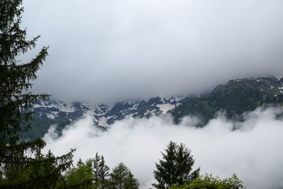 _Z914628.jpg