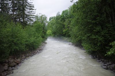 _R001688.jpg