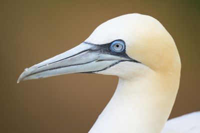 _Z917524.jpg