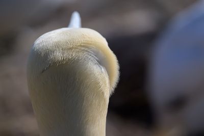 _Z910144.jpg