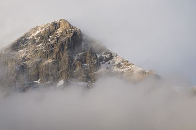 _Z810335.jpg